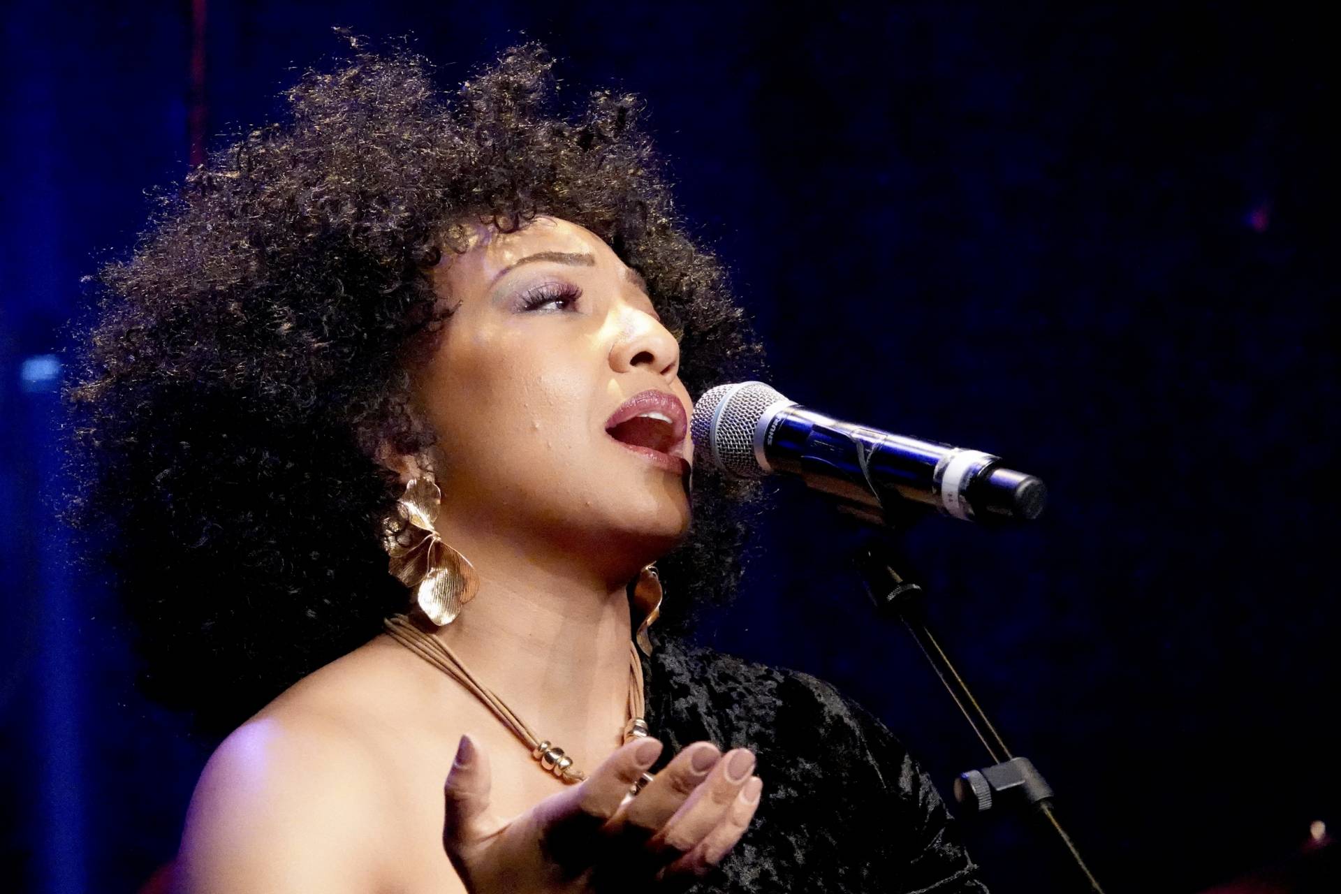 Volop genieten van het Goois Jazz Festival